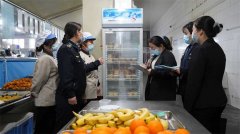 鞭策该市中小学、长儿园累计投资490.23万元对食